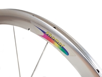 Campagnolo Shamal Front Wheel - Silver